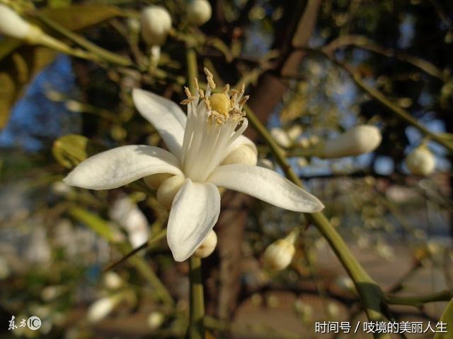 脸蛋漂不漂亮是皮脂膜说了算,能完整保留,想不