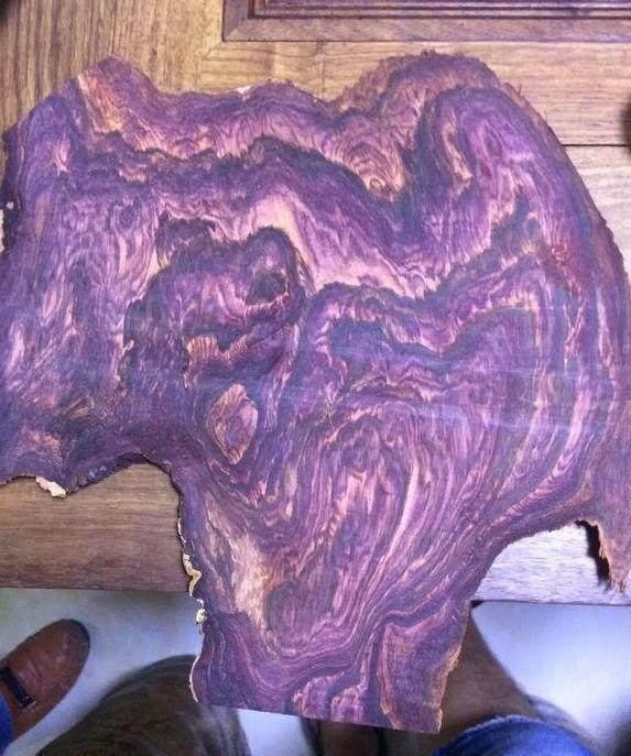 花2万买了块木头跟朋友打赌,一切开众人却愣住了!