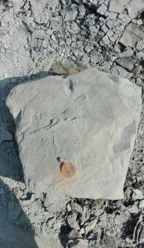 人类文明纪元史, 地球已经有N亿年了, 出现过多