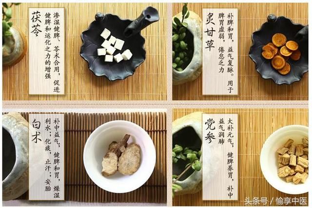 郝万山教授委婉批中药西化之弊