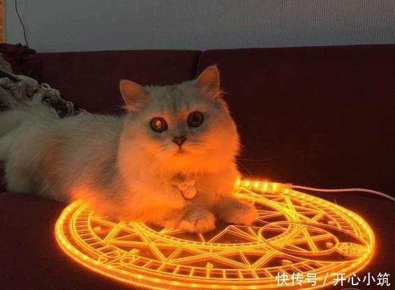 搞笑gif图片笑话段子:没事,你忙吧,我就是喜欢看