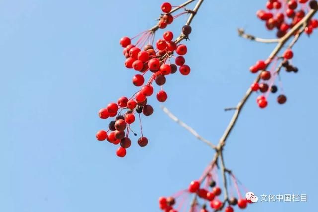 中国风|八句诗词,字字珠玑,写尽人生