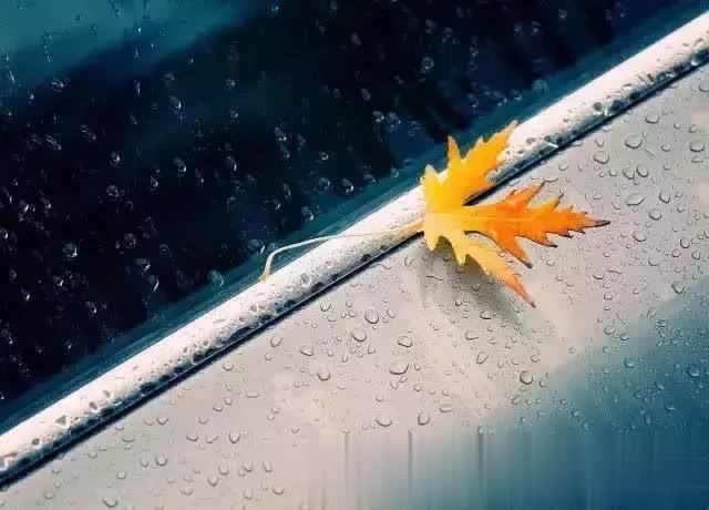 别和小人计较,别和家人生气, 别和自己过不去,