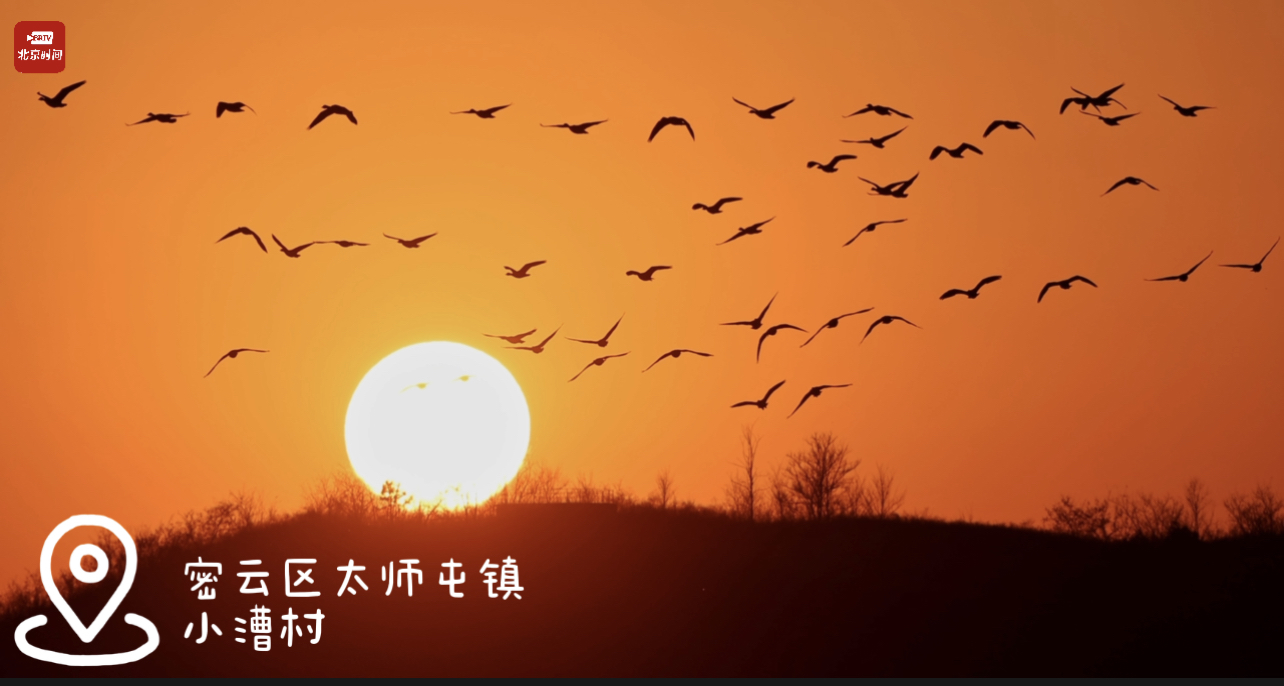 飞鸟穿日与落日同框 “新月已生飞鸟外，落霞更在夕阳西”