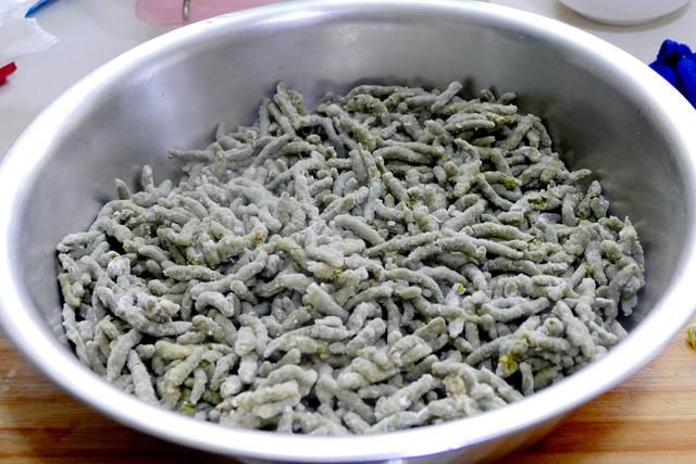 楮桃树上像桑葚一样的毛毛虫你吃过吗?别说