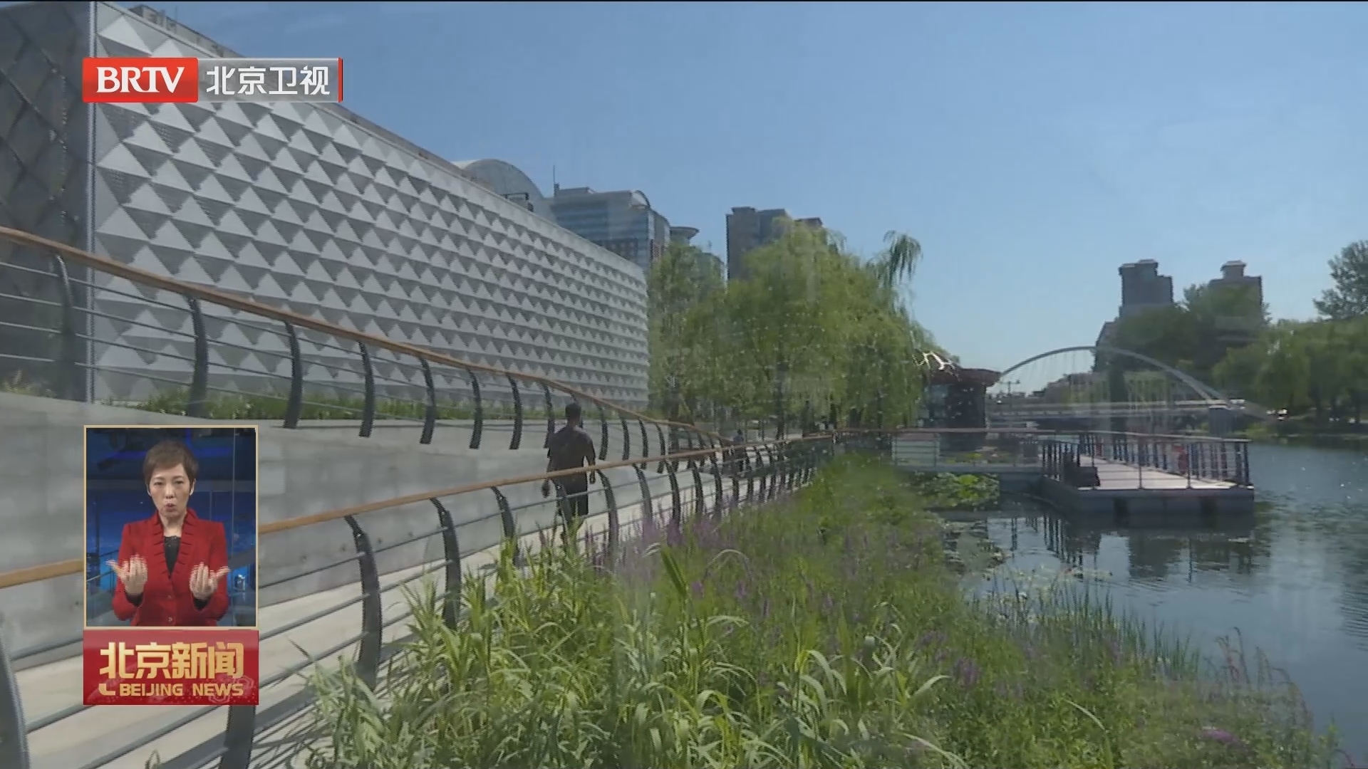 本市2024年将建设20条林荫化道路
