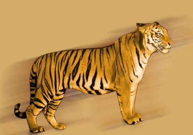 喜报!这5个生肖,2018年行大财运,好运连连,有本