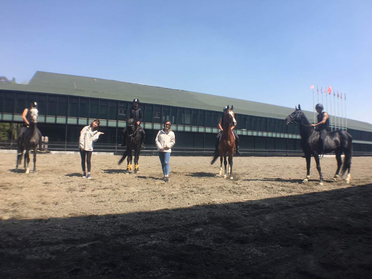 静静看混血帅哥身骑汗血宝马尬舞 静静看混血帅哥身骑汗血宝马尬舞