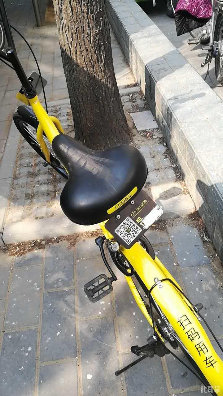 我见过最惨的共享单车,就是ofo小黄车!