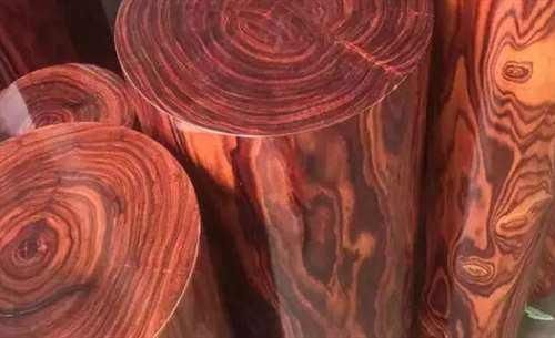 血檀或面临灭绝!为什么在中国畅销?