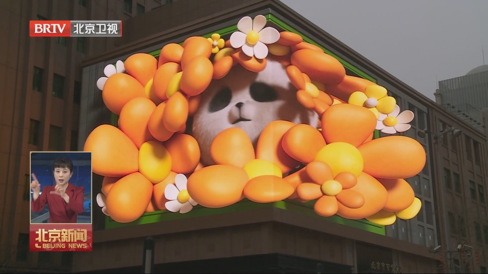 全市春节及元宵节景观布置到位 千条大街三千小巷亮起来