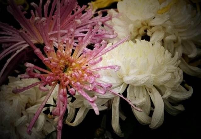 时间匆匆如流水,10首关于珍惜时间的古诗词,美