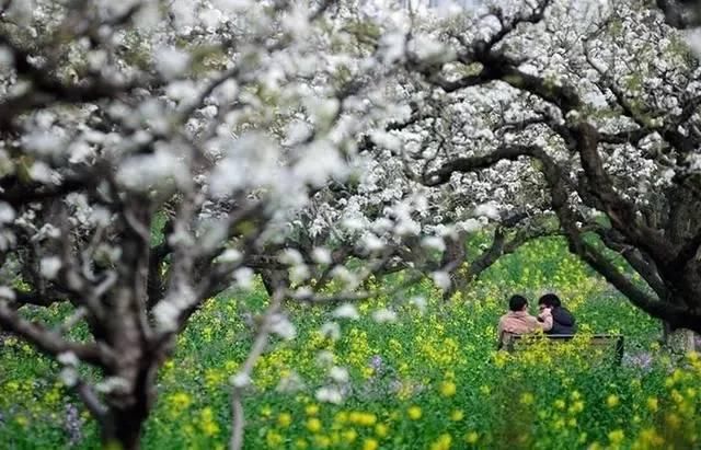 10种常见摄影场景的单反相机设置技巧!