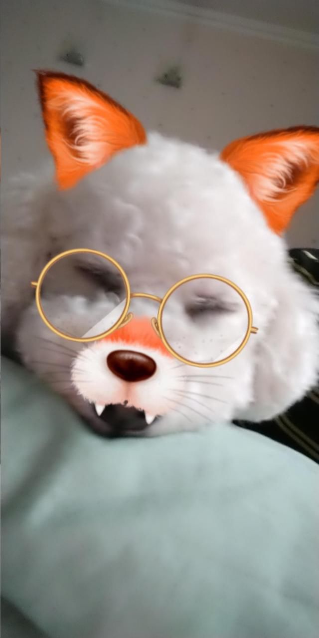 终结全面屏手机暴利浅谈新国民旗舰Lenovo Z5