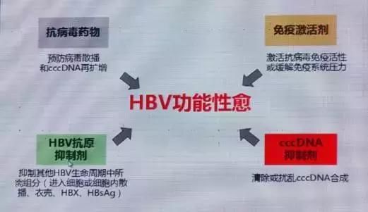 会议撷萃任红教授:慢性乙肝功能性治愈概念与