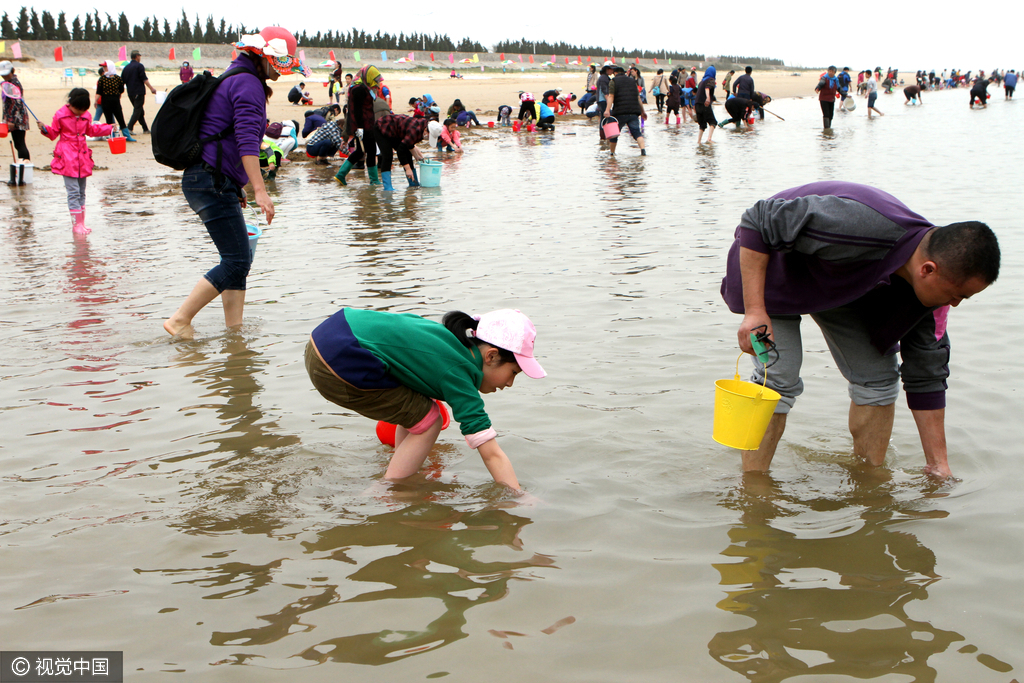 当日,上千名市民和网友一起赶海拾贝,共吃海鲜大餐,上演了一场旅游