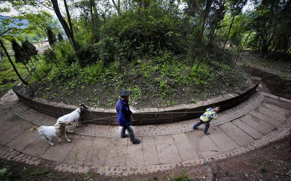 虞允文站在历史舞台上可以说是在秦桧死后,此时的大金皇帝是完颜亮