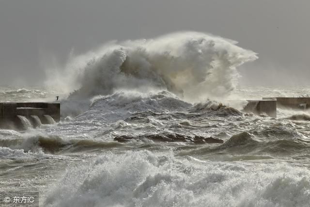 泰国普吉岛沉船事件中,始终忽略了最重要的一