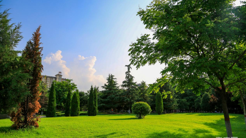 【奋进新征程 建功新时代】河南安阳内黄：让城市充满“绿色幸福感”