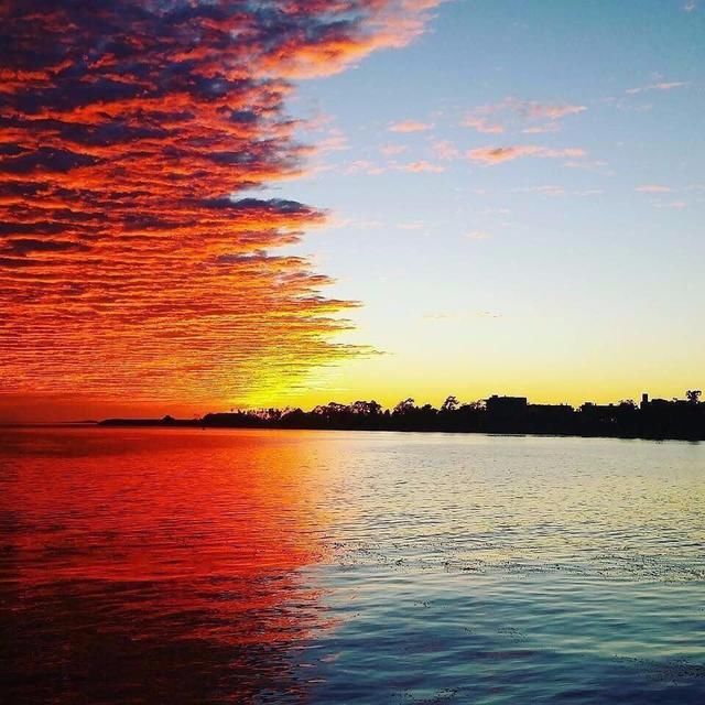 每日三句经典英语 - 我走得很慢,但从不后退