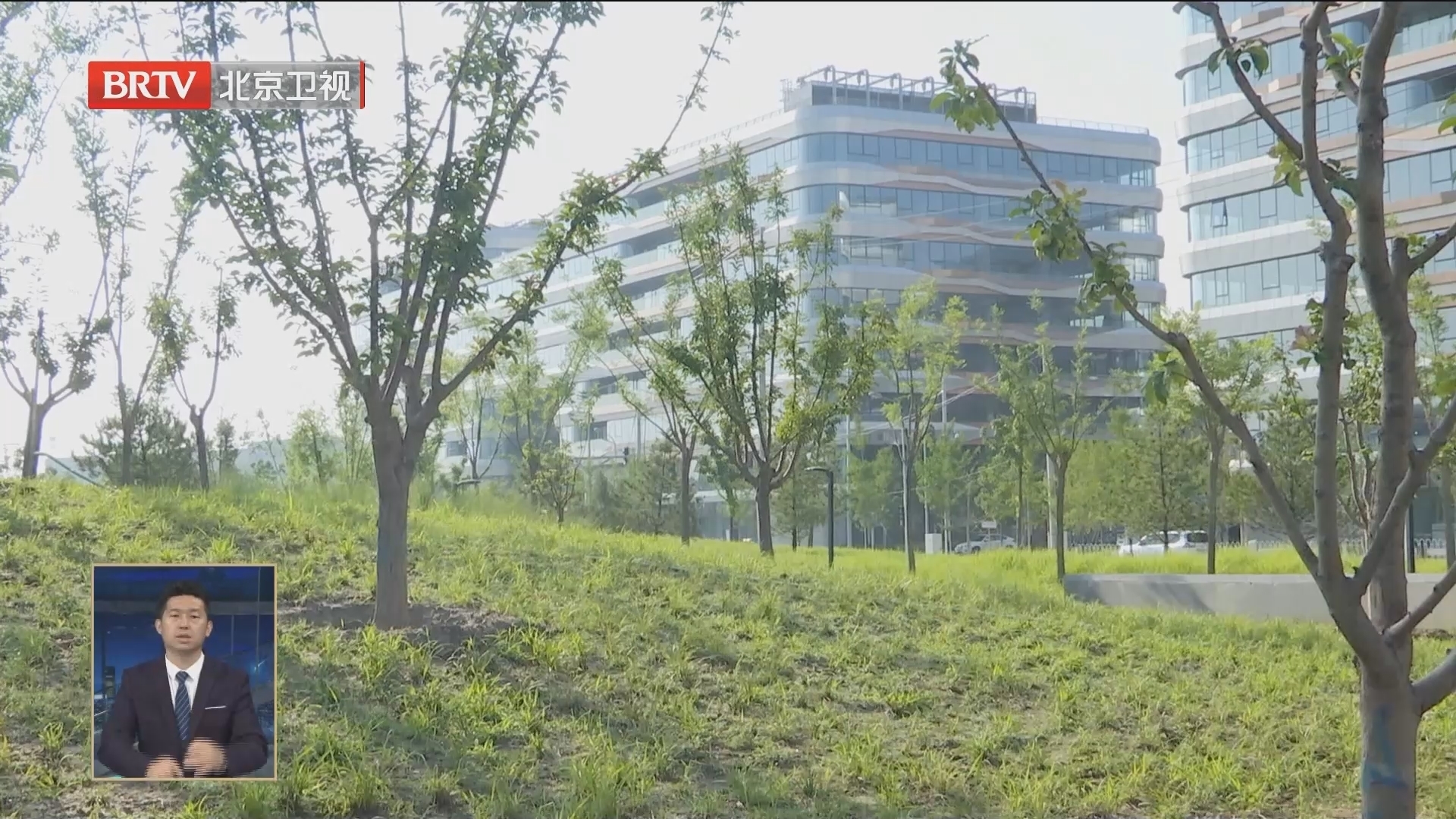悦动公园建成开放 海淀打造“公园中的城市”_北京时间