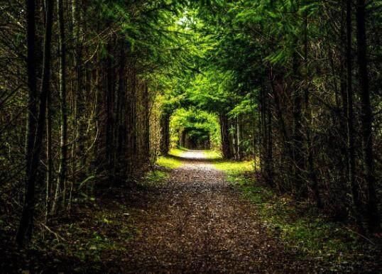 心理测试:假如你迷路了,会走哪条路?测你天生