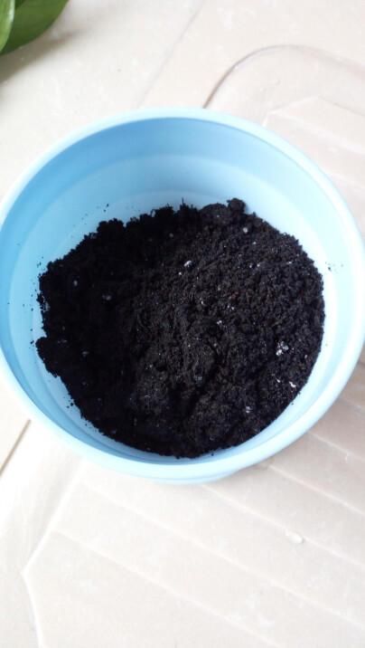 养好金钱树的6个办法,效果忒好,叶绿根粗,黄叶