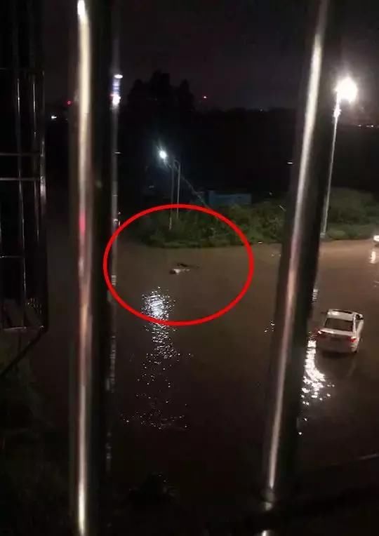突发!广东多地严重水浸,汕头某路段已有人触电