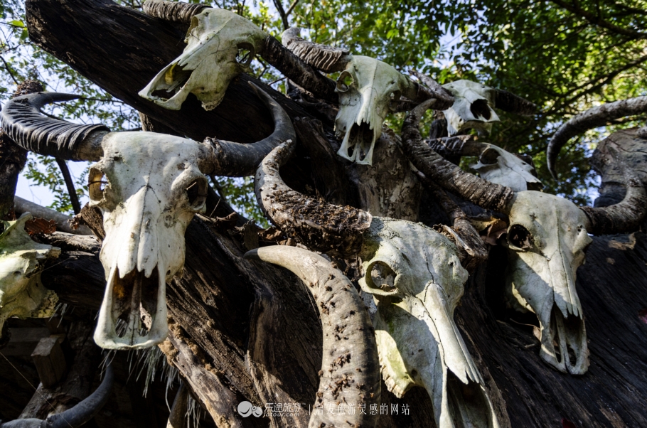 中国最后一个原始部落:翁丁佤寨 中国最后一个原始部落:翁丁佤寨