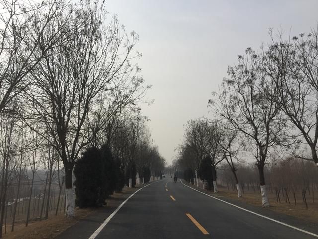 带你走进农村真正的田园生活,风光无限好!喜不