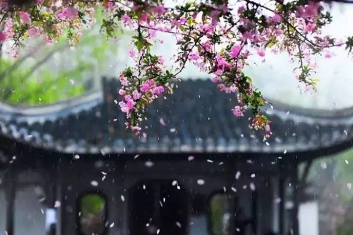 诗词丨30首最美落花诗词，从暮春看到初夏