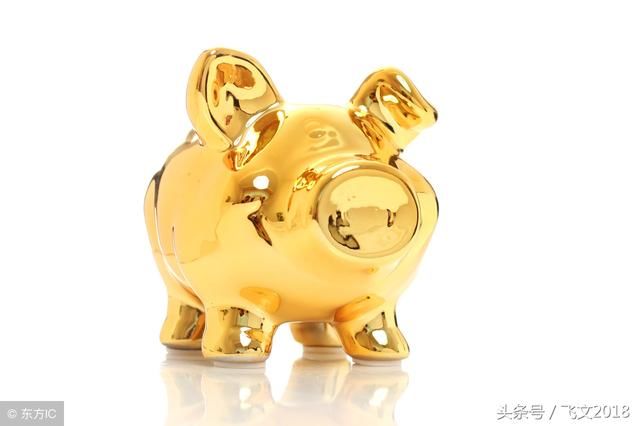 2019年属什么生肖,2019年是什么命