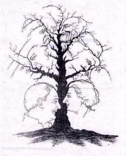 5个题目测出你的智力水平,快来试一试吧