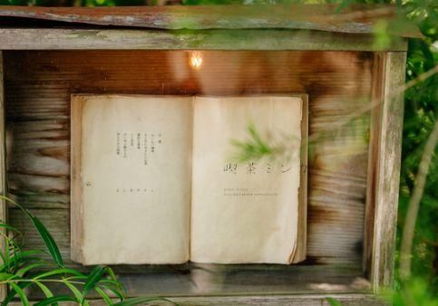 美文美图景鹏周|品诗随笔