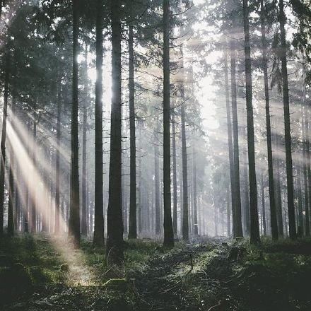 看透人心心酸的句子,句句精辟,你经历过吗?