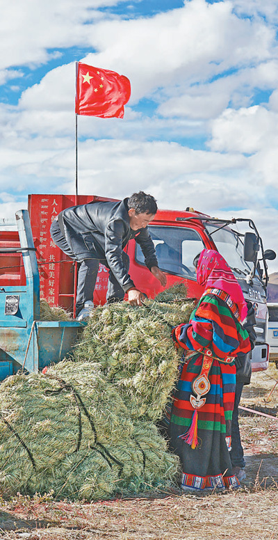 割草节上歌声扬（秋收一线）