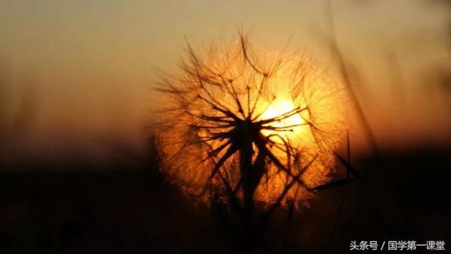 12生肖九月吉凶一览表!你是大吉吗?