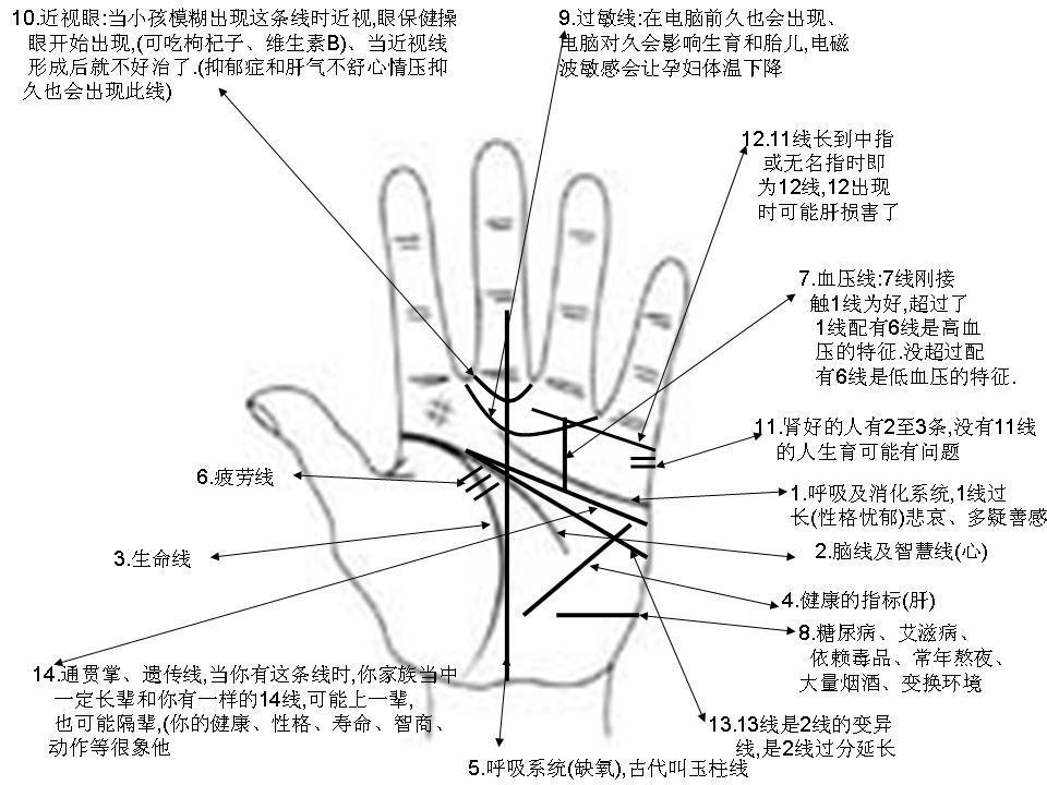 男生的手相,右手為先天,左手後天,而女生則反之.