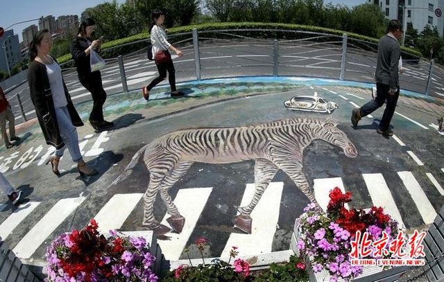 今起北京不停车礼让斑马线 将被罚200元扣3分 今起北京不停车礼让斑马线 将被罚200元扣3分