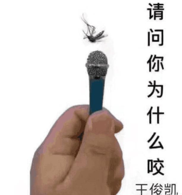 王俊凯录制节目中被蚊子叮咬大包!粉丝心疼!网