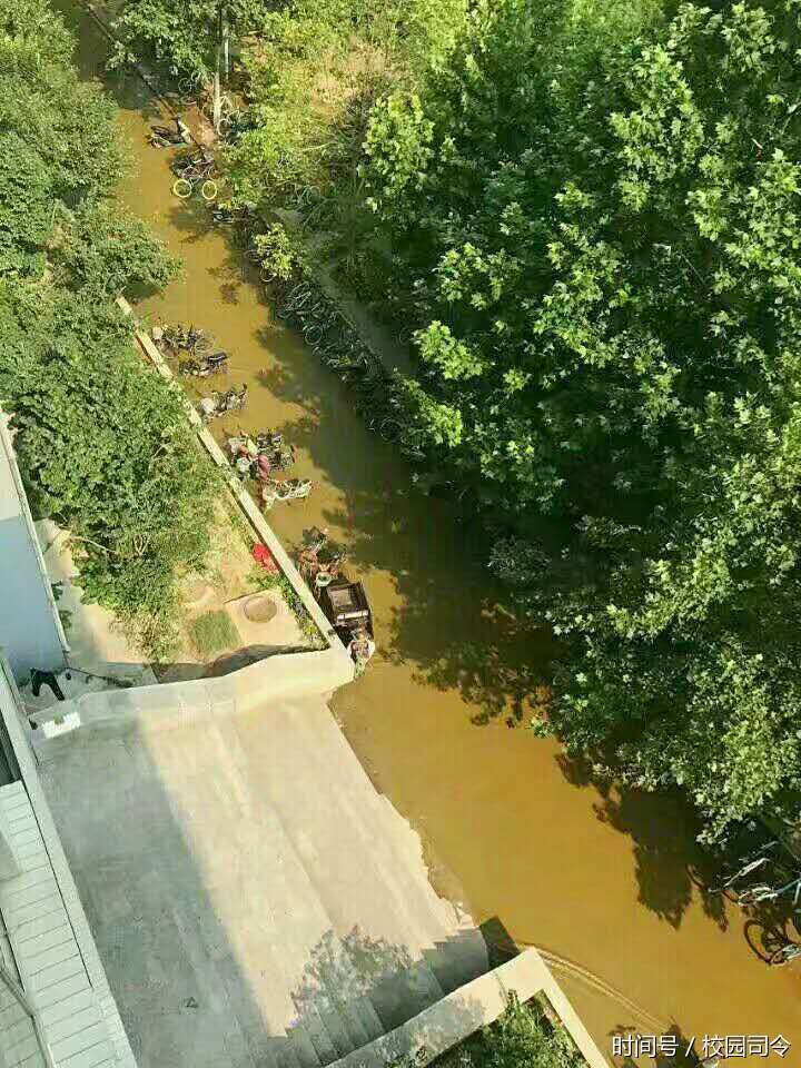 济南大学粪坑炸了！宿舍被屎包围，外卖哥坚持派送走红