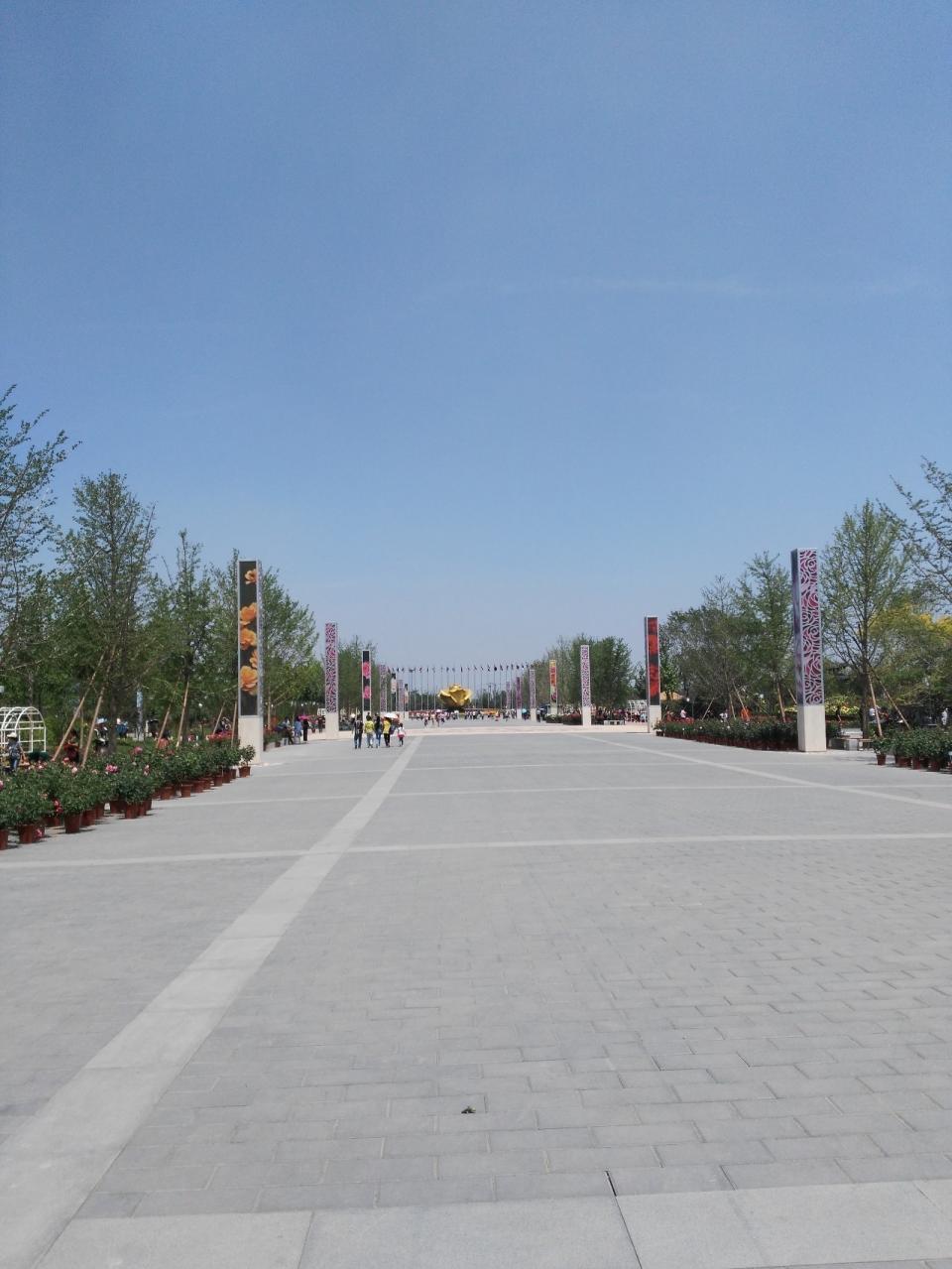 花100块钱到南六环外看月季,值么?