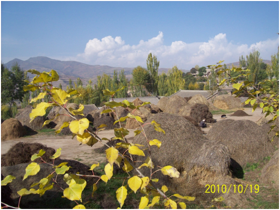 初中文化农民电商创业 当归哥也有梦想