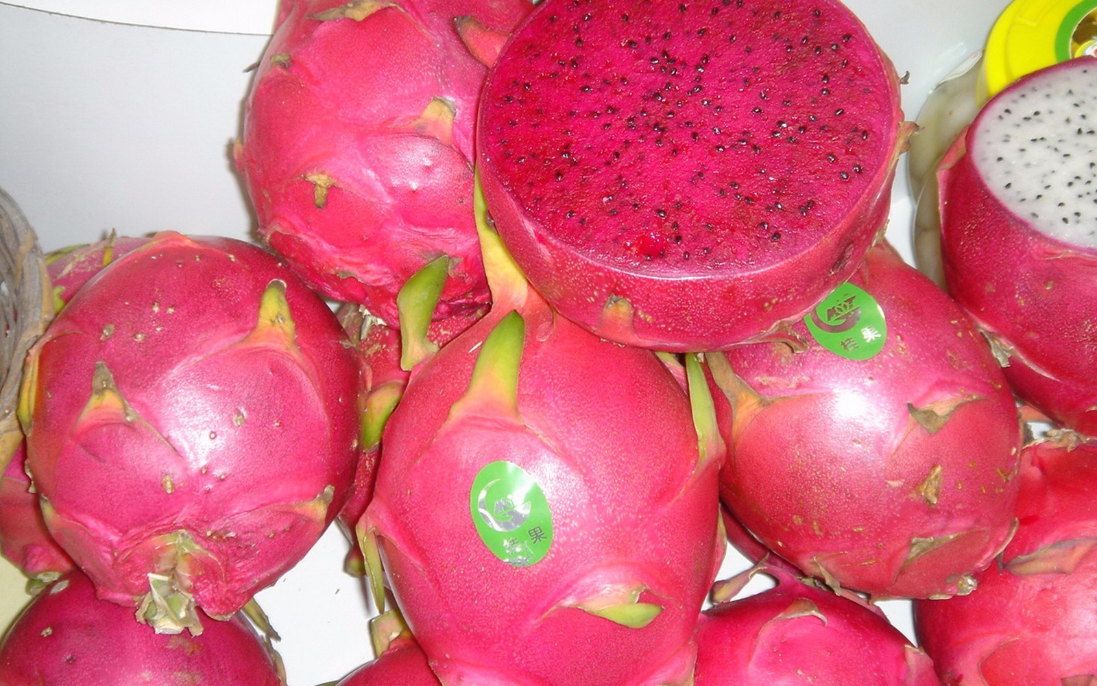 果酒技术-火龙果夜里开花昙花一现可以泡酒