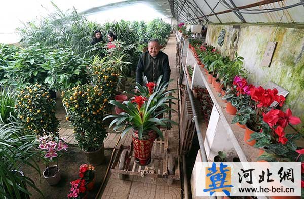 河北枣强: