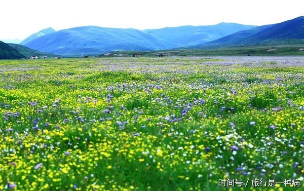 6-8月四川周边自驾游必去景点推荐