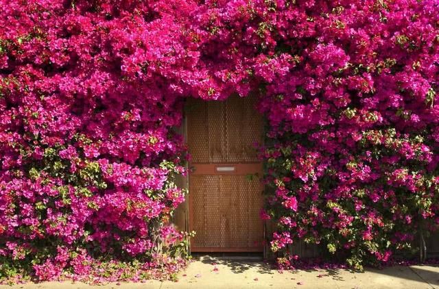 的粉丝于谦,粉骨碎身全不怕,要留清白在人间