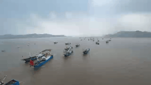 千帆竞发!浙江舟山首批渔船开渔出海,东海第一网梭子蟹来啦! 千帆竞发!浙江舟山首批渔船开渔出海,东海第一网梭子蟹来啦!