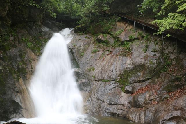 針對強暴雨天氣,石臺醉山野度假區緊急啟動惡劣天氣應對預案,積極