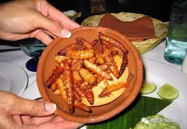 看着就令人反胃的另类美食,敢尝尝吗?